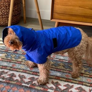 Dog raincoat with hood